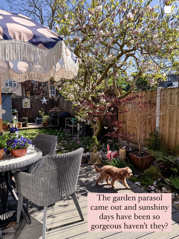 Little House in London Garden Parasol Umbrella Fringing.