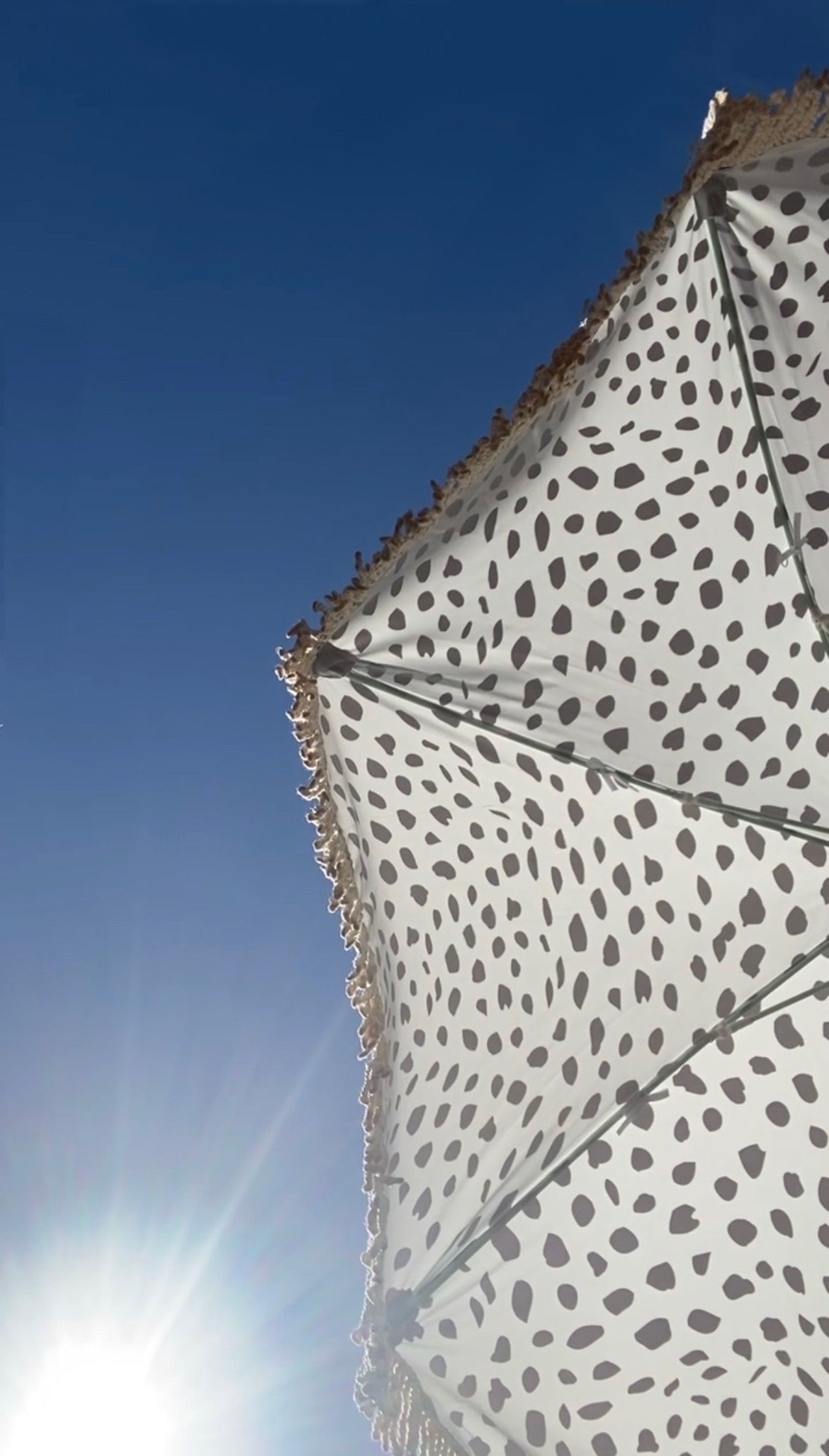 The Margot boho chic parasol featuring pastel blue with black dalmatian print, natural cotton fringing, adjustable wooden frame pole, collapsible design, and matching canvas carry bag.