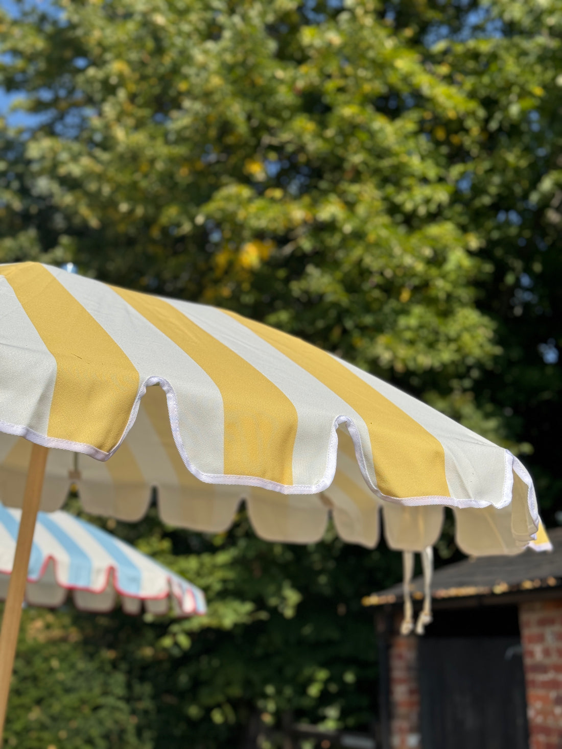 The Sienna (Pre-order)