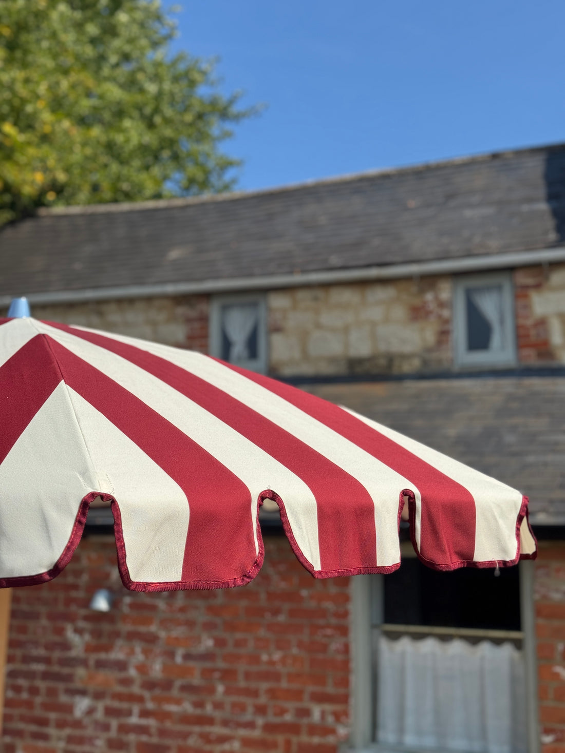 The Albert (Pre-order)