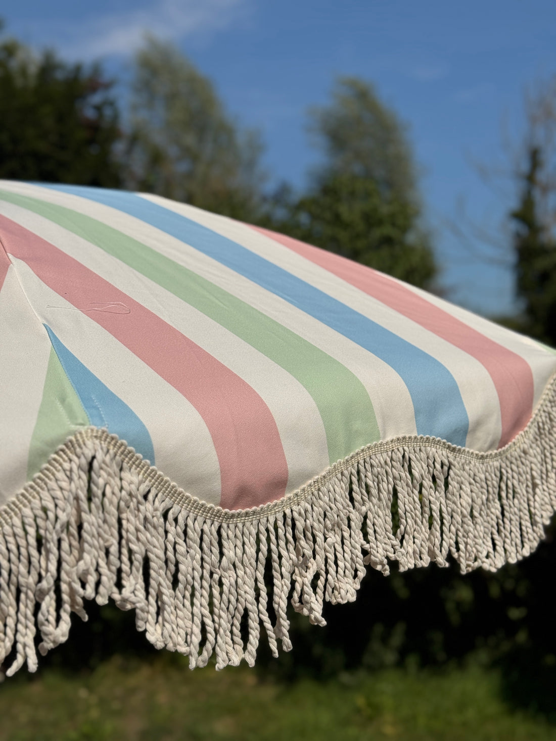 The Beatrice (Pre-order)